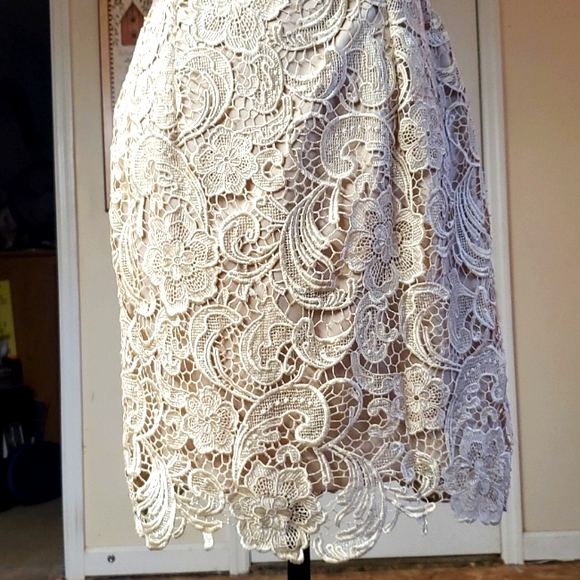 Adrianna Papell Evening Dress - Picture 4 of 15